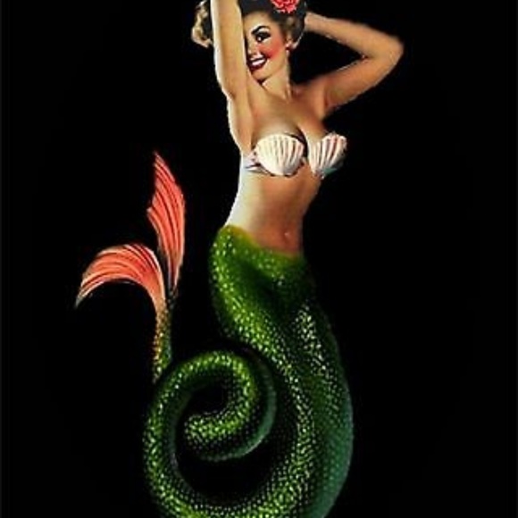 Meet your Posher, Lokelani Mauna - Picture 4 of 4